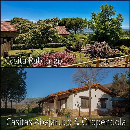 Finca La Sayuela Villa El Raso Kültér fotó