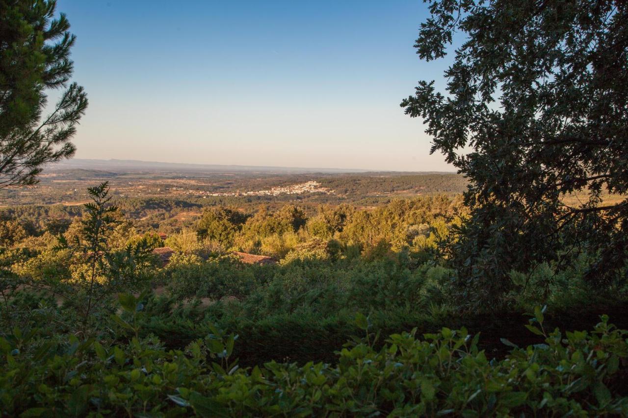 Finca La Sayuela Villa El Raso Kültér fotó